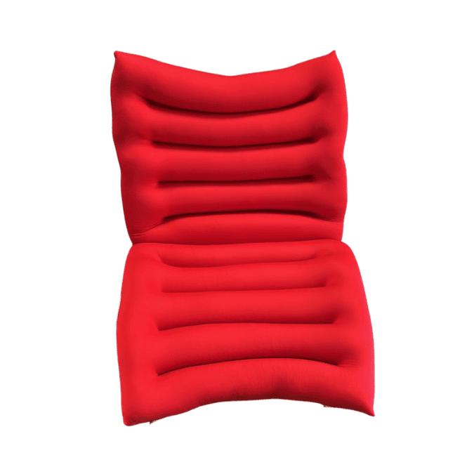 COJIN RESPALDO CON ASIENTO